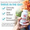 Silver Fern Brand Family Probiotics - Ultimate Adult Probiotic (1 Bottle = 60 Capsules) Plus Ultimate Children's Probiotic for Kids (1 Bottle = 30 Chewables) - Gut Health & Microbiome Support view 2