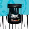 Animal Juiced Amino Acids - BCAA Powder EAA Matrix Plus Hydration with Electrolytes and Sea Salt Anytime Recovery and Improved Performance, Strawberry Limeade Flavor, 30 Servings view 2