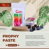 Mint Flavored Professional Strength Tooth Polish (Coarse) view 4