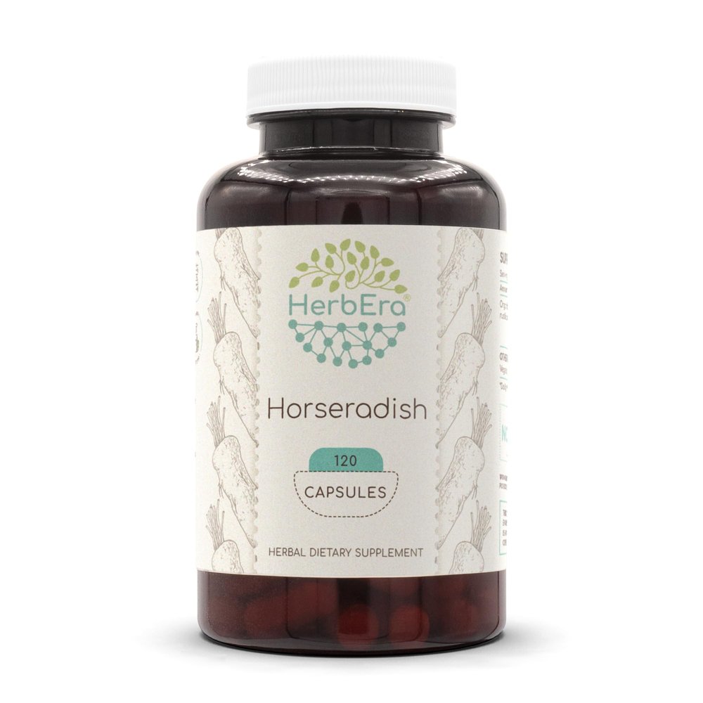 HerbEra Horseradish 120 Capsules, 500 mg, Horseradish (Armoracia rusticana) Dried Root (120 Capsules)