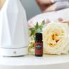 Edens Garden Frankincense- Sacra Essential Oil- 100% Pure Premium Grade, Undiluted, Natural, Therapeutic, Aromatherapy, The Best for Diffuser, Skin, Humidifiers, Kid Safe 30 ml (1 fl oz) view 2