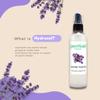 GreenHealth Hydrosol (Floral Water) - 16 fl oz Plastic Jug w/Cap - 100% Pure (NOT Oil) (Lavender) view 2