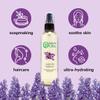 GreenHealth Hydrosol (Floral Water) - 16 fl oz Plastic Jug w/Cap - 100% Pure (NOT Oil) (Lavender) view 4