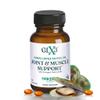GLX3 Joint Support Extra Strength Omega-3 Supplement | Premium New Zealand Green Lipped Mussel Oil - Comfort, Flexibility, Muscle Recovery - ETA EPA DHA Omega 3 Supplement Capsules by Haka Life view 1