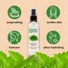 GreenHealth Peppermint Hydrosol (Floral Water) - 32 fl oz Plastic Jug w/Cap - 100% Pure (NOT Oil) view 3