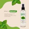 GreenHealth Peppermint Hydrosol (Floral Water) - 32 fl oz Plastic Jug w/Cap - 100% Pure (NOT Oil) view 4