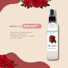 GreenHealth Rose Hydrosol (Floral Water) - 8 fl oz Plastic Jug w/Cap - 100% Pure (NOT Oil) view 2