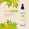 GreenHealth Ylang Ylang Hydrosol (Floral Water) - 32 fl oz Plastic Jug w/Cap - 100% Pure (NOT Oil) view 2