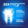 REMBRANDT Intense Stain Whitening Toothpaste With Fluoride, Removes Tough Stains, Rehardens And Strengthens Enamel, Mint Flavor, 3.5 Ounce (Pack of 12) view 2