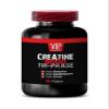 Bodybuilding Supplements for Men - CREATINE TRI-Phase - CREATINE 3X - creatine monohydrate Pills for Muscle gain - creatine unflavored - creatine hcl Pills - Muscle Recovery Supplements 1 Bot 90 Tabs view 2