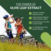 East Park Olive Leaf Extract (OLE) Super Strength d-Lenolate 500mg | 18% or More Oleuropein Immune System Booster | 180 Vegetarian Capsules (Non-GMO) view 2